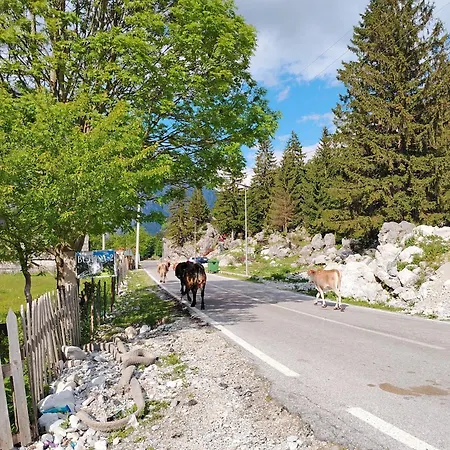 2 Bar Restaurant * Valbona