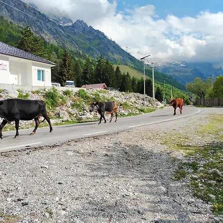2 Bar Restaurant Campeggio Valbona